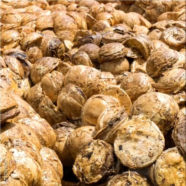 Premium Rubber Cup Lump 3