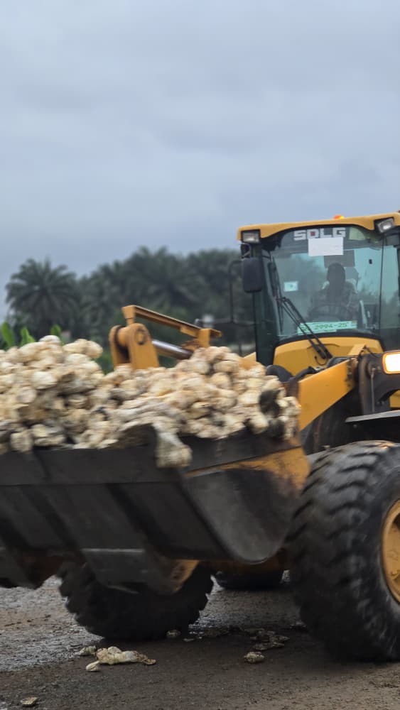 WinRiT Rubber operations photo 11