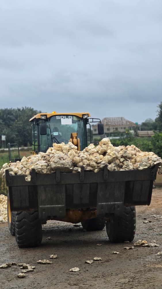 WinRiT Rubber operations photo 12