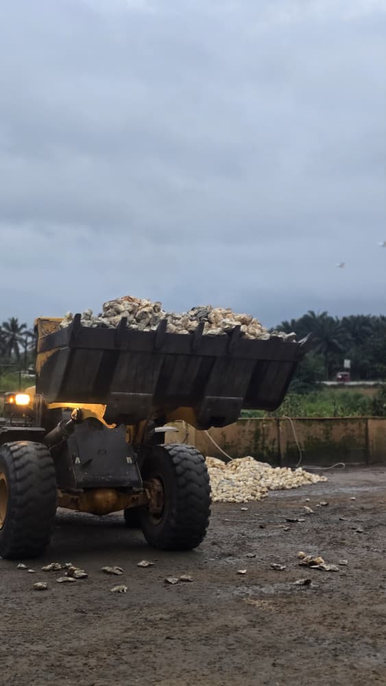 WinRiT Rubber operations photo 16