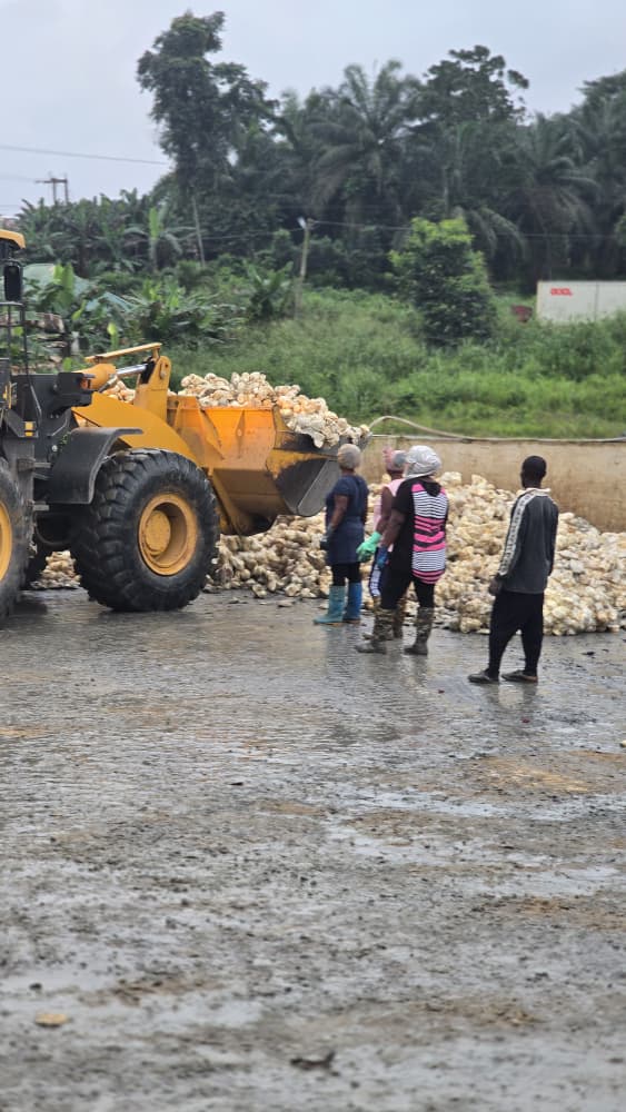 WinRiT Rubber operations photo 17