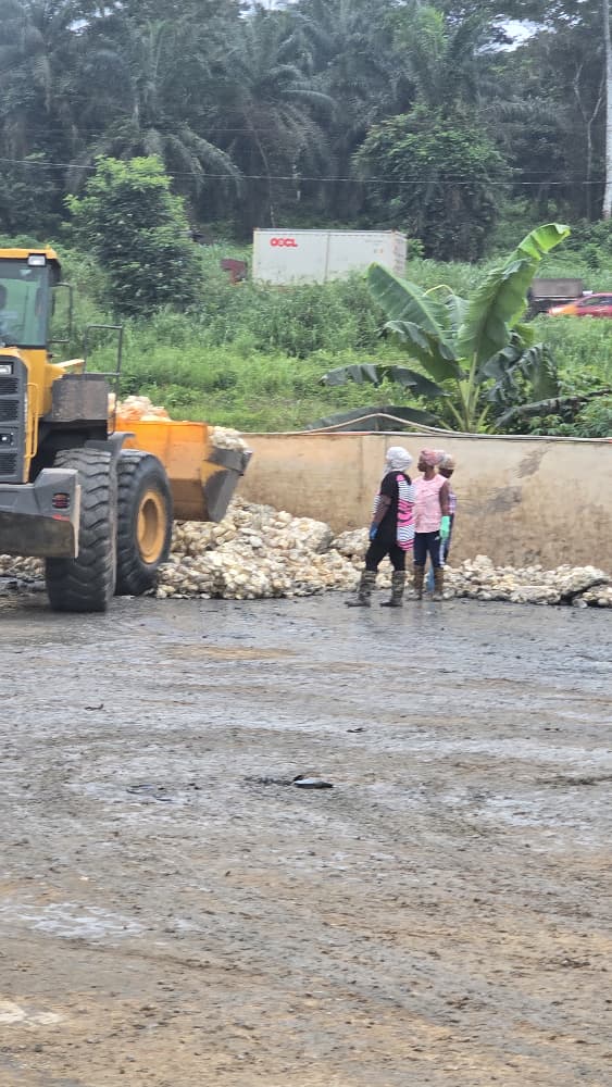 WinRiT Rubber operations photo 23